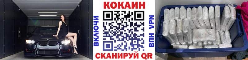 Cocaine FishScale  мега как зайти  Салехард 