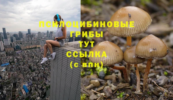 крисы Покровск