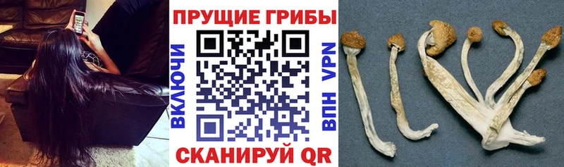 Псилоцибиновые грибы MAGIC MUSHROOMS  Салехард 